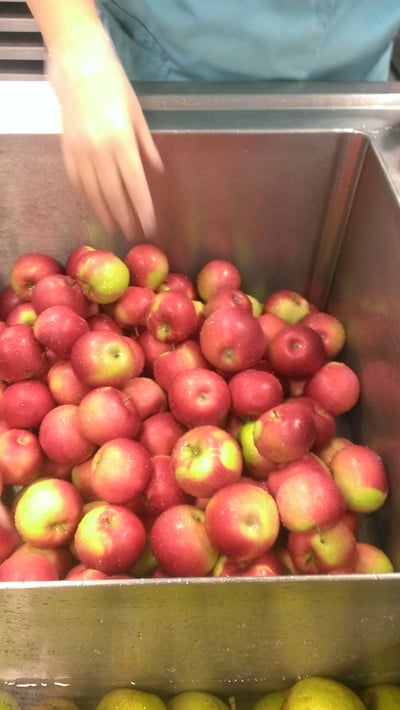 Preparing Apples for Lunch