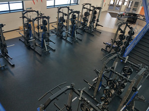 Free Weights